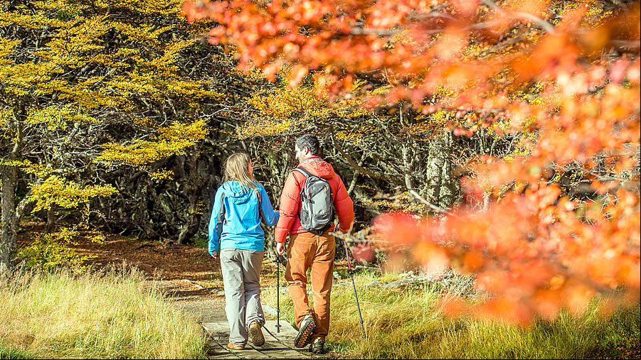 ¿Otoño en Ushuaia? ¡Se vive en el Parque Nacional Tierra del Fuego!