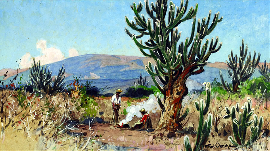 -El Museo Histórico del Norte de Salta inaugura dos exhibiciones-