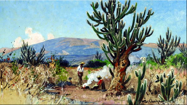 El Museo Histórico del Norte de Salta inaugura dos exhibiciones