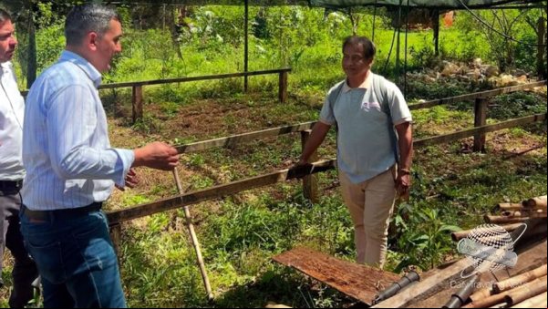 Misiones fortalece el turismo comunitario con viveros en comunidades Mbyá Guaraní